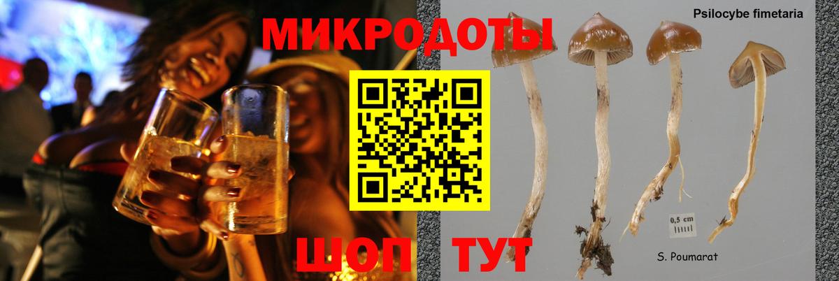 Галлюциногенные грибы прущие грибы Иваново